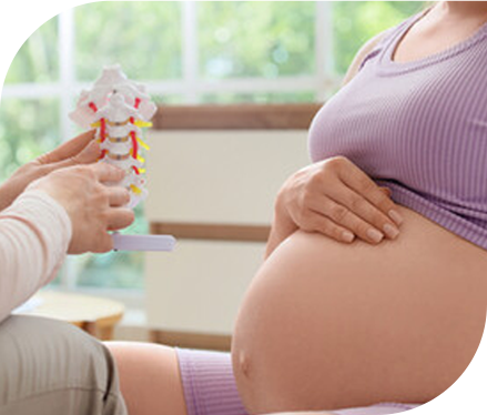 Pregnancy / Doula